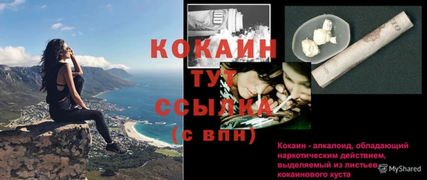 дживик Аркадак