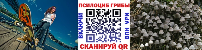 Галлюциногенные грибы мухоморы  Валдай 